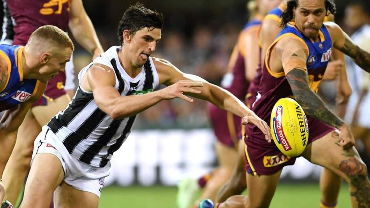 Collingwood's Scott Pendlebury.