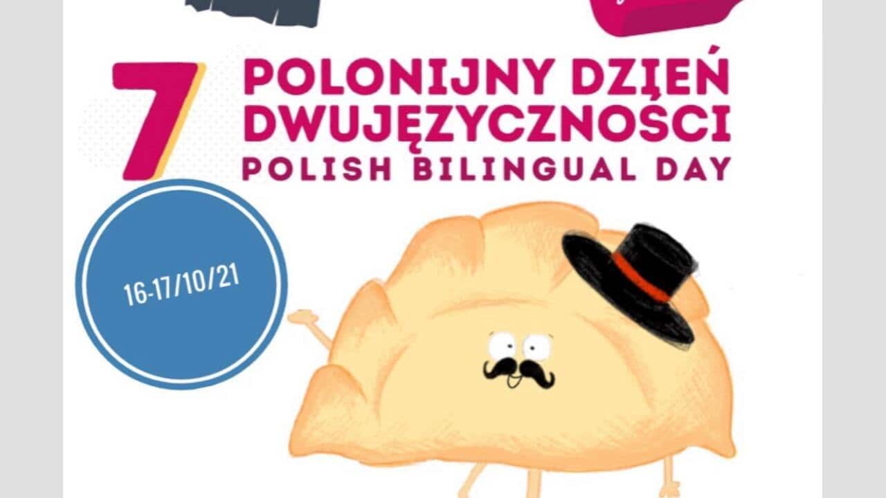 Pierog Wlodek