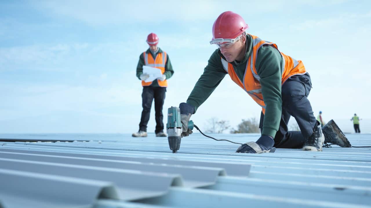 Building foreman reading plans as workman insulates factory roof
