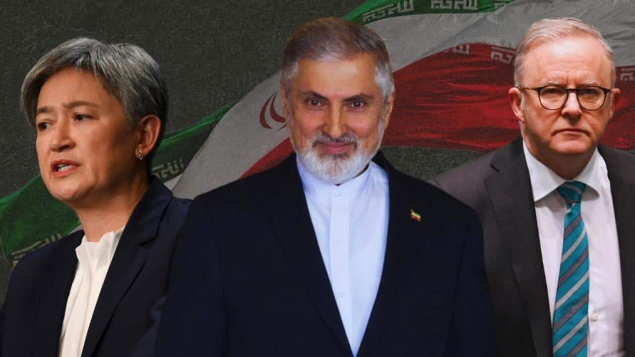 Ahmad sadeghi.jfif