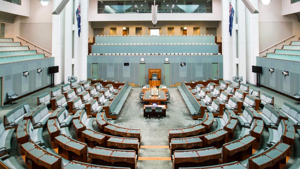 The House of Representatives