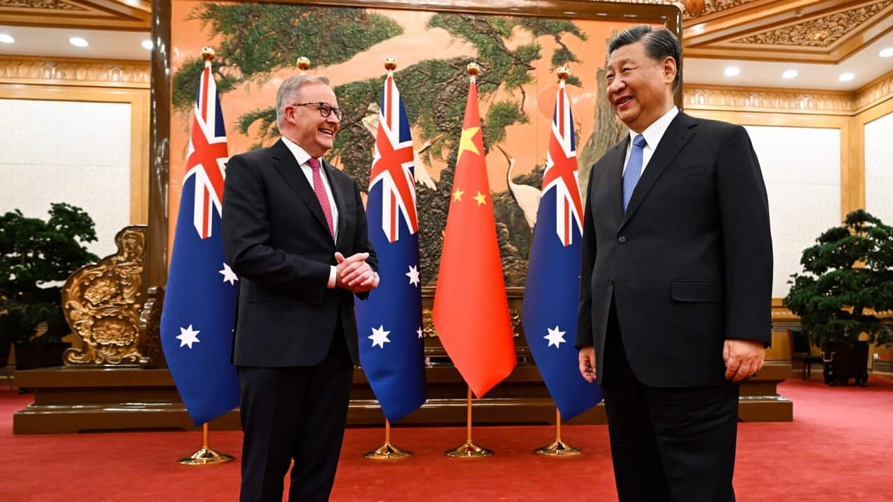 ANTHONY ALBANESE CHINA TOUR