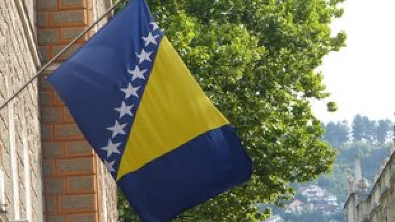 Bosnia and Herzegovina flag