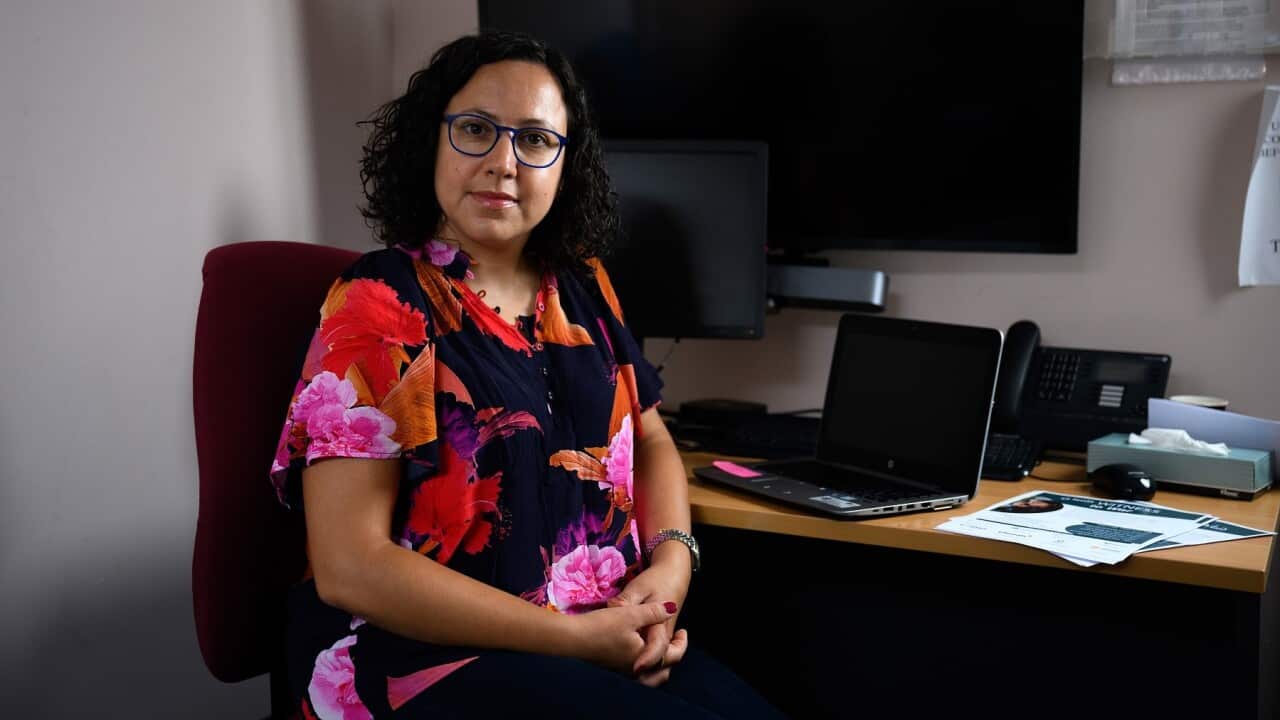 WITNESS TO WAR NATIONAL HOTLINE