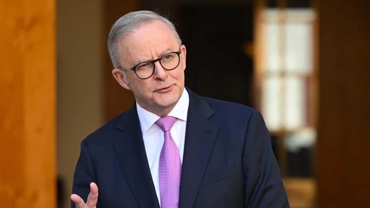 ANTHONY ALBANESE PRESSER