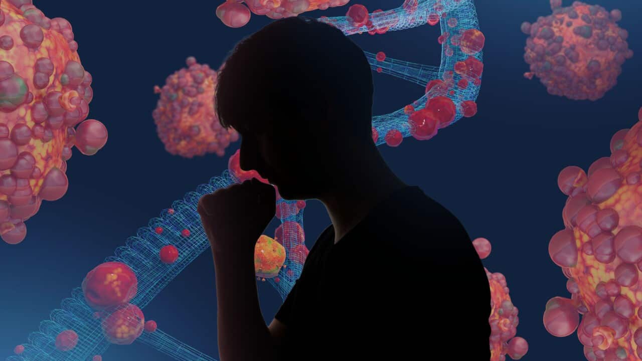 Mpox graphic for audio feature (SBS).jpg