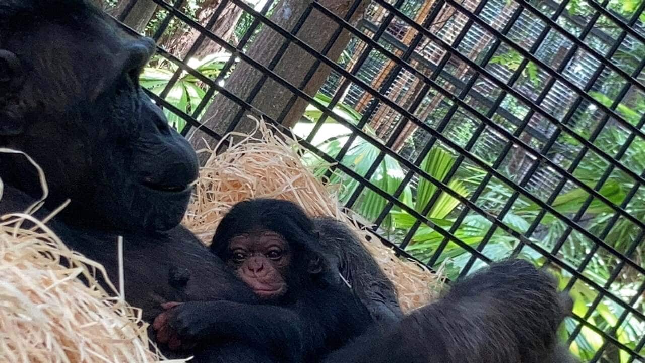 Image for read more article ''