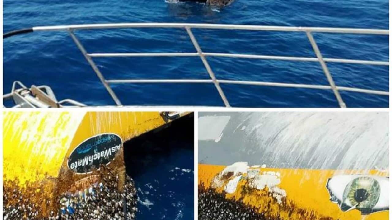 Wild Eyes was identified as the rogue boat spotted off Kangaroo Island