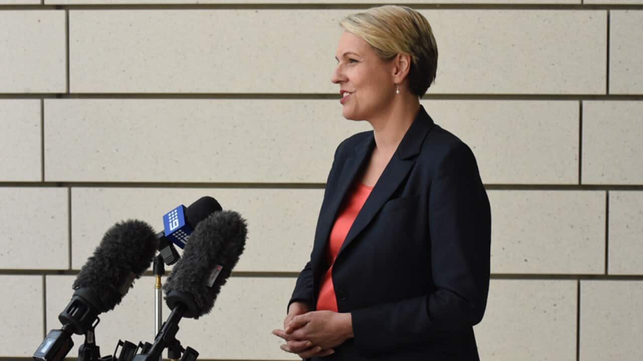Deputy Leader of the Opposition Tanya Plibersek