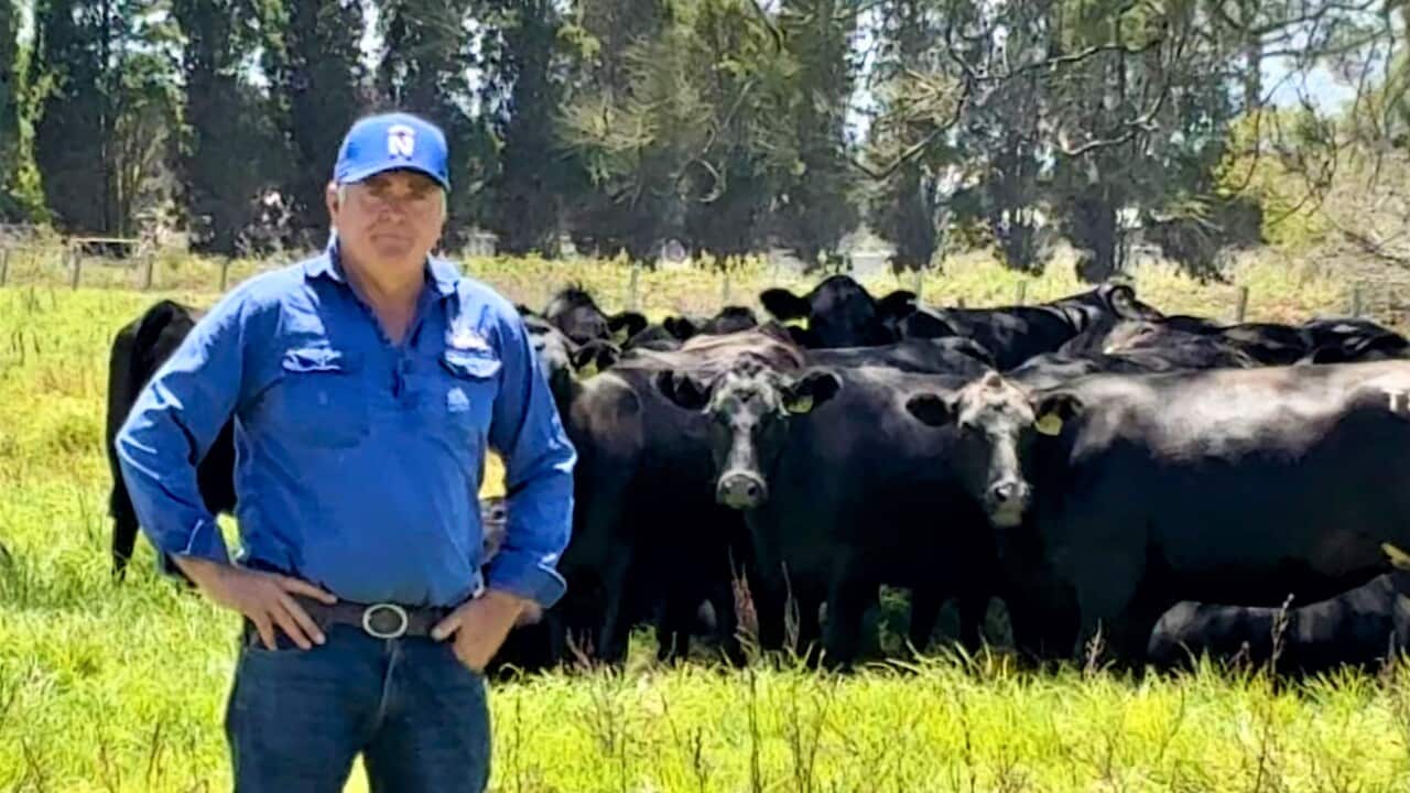 The $1 billion problem facing Aussie farmers like Robert