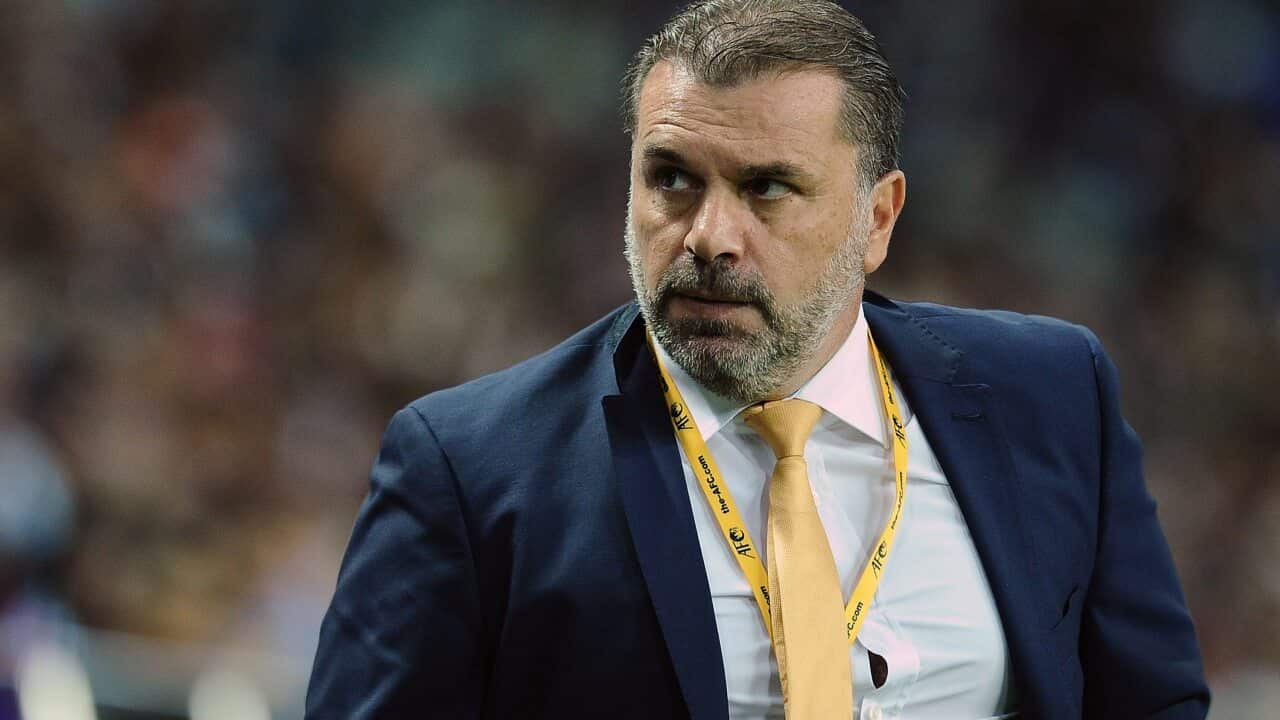 postecoglou