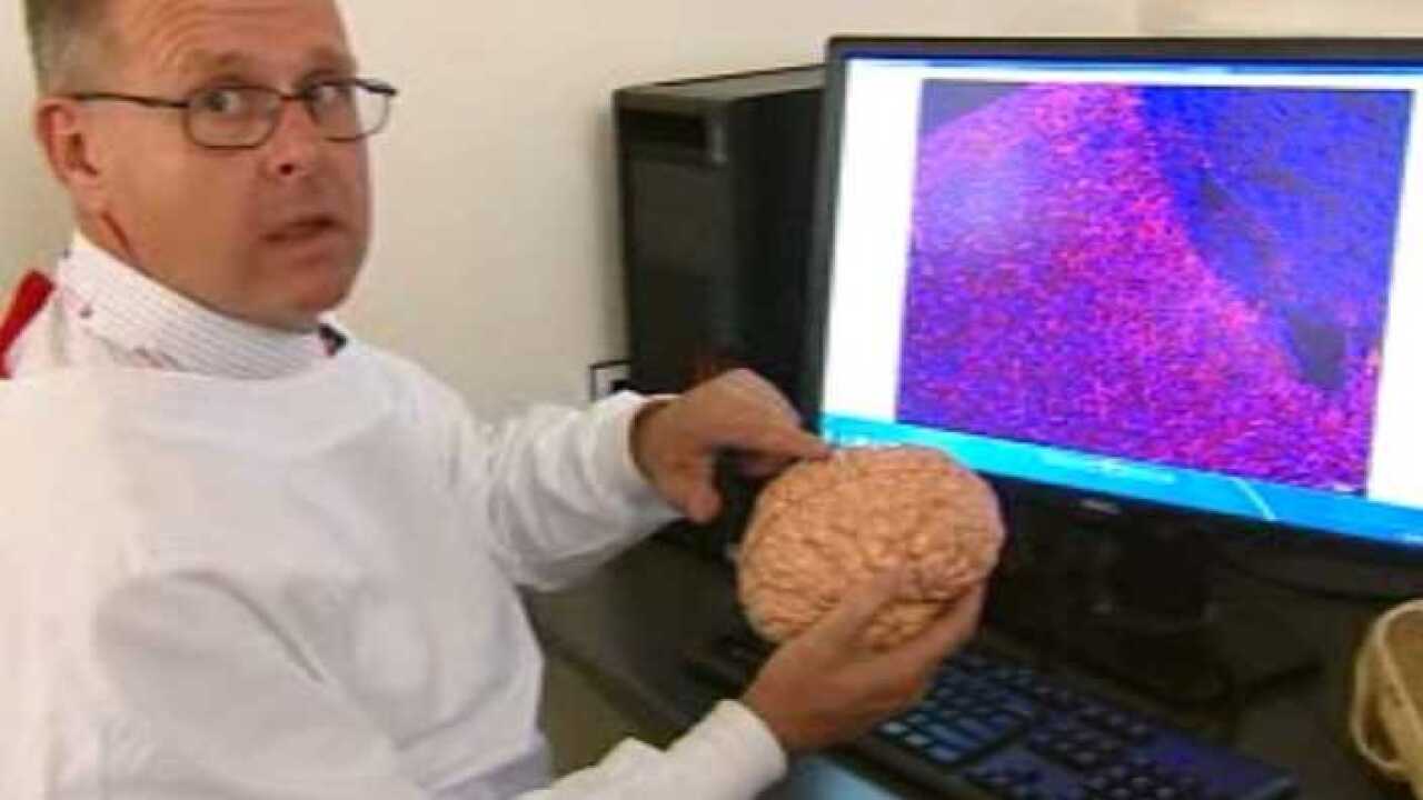 Professor Chris Sobey