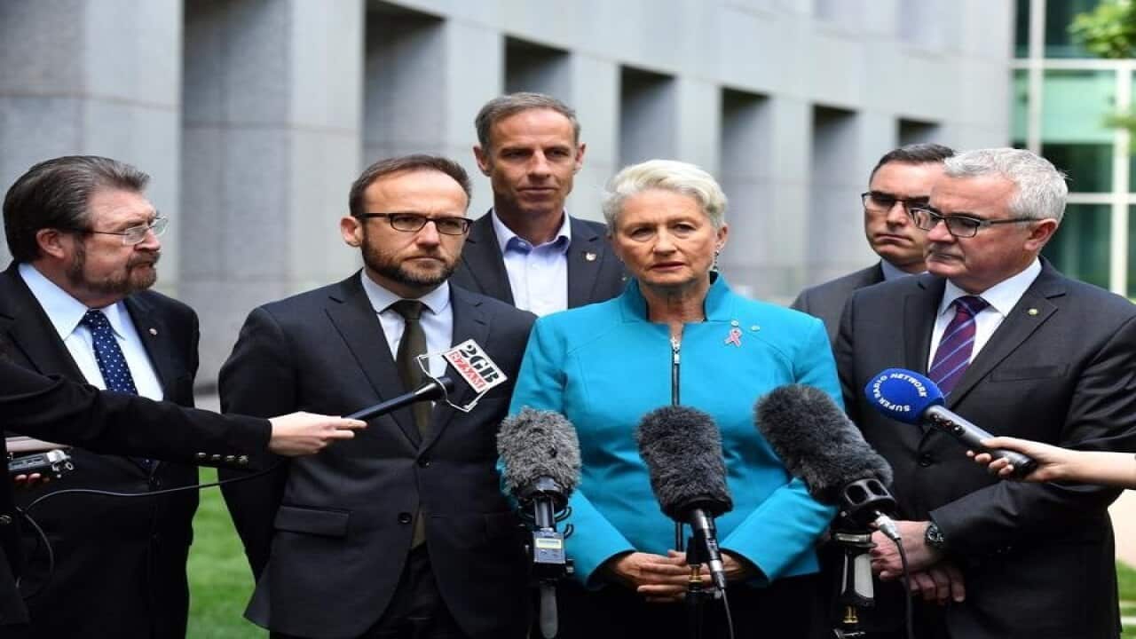 Wentworth MP Kerryn Phelps with crossbenchers
