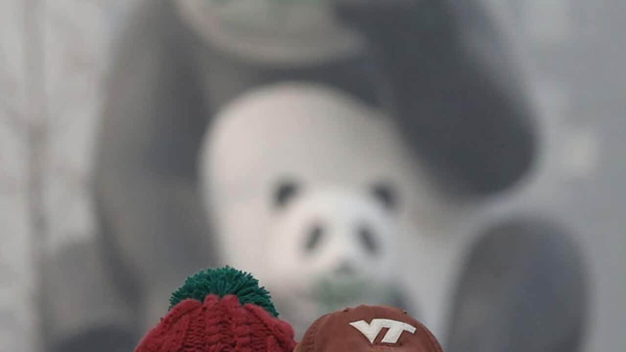 Beijing residents wearing face masks as air pollutions hits dangerous levels and smog blankets the city. (Getty)