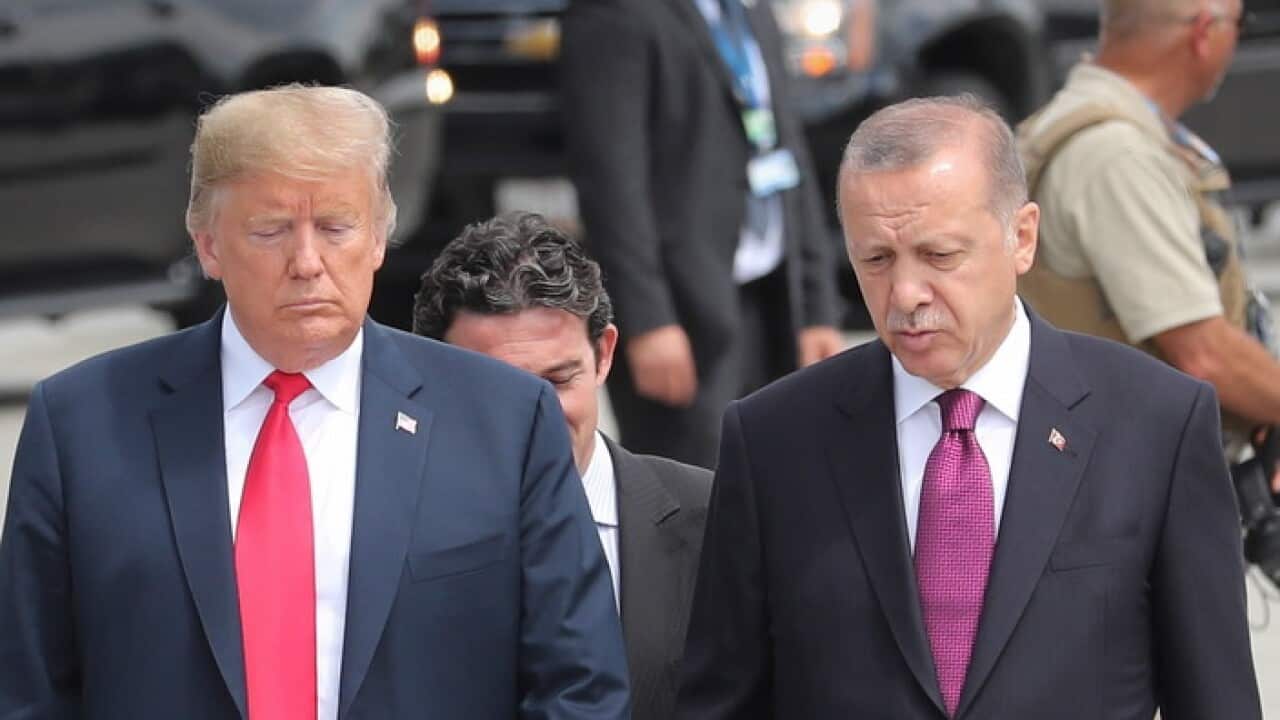 America Turkey