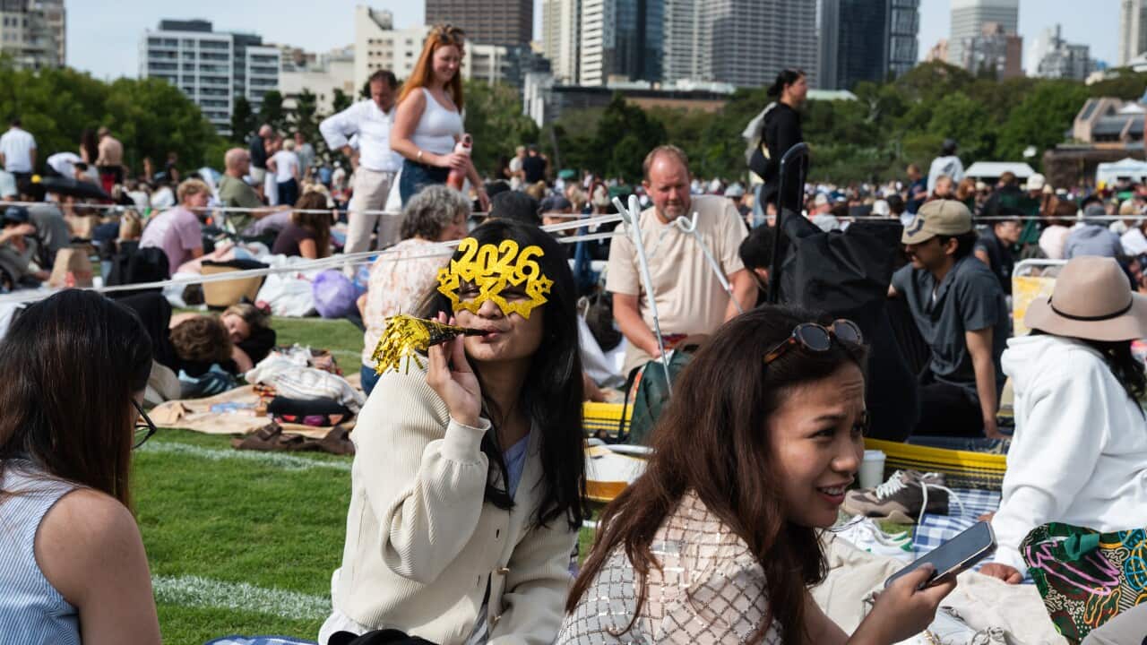 A large group of people sitting on a grassy lawn. One person is wearing glasses that say “2026“.