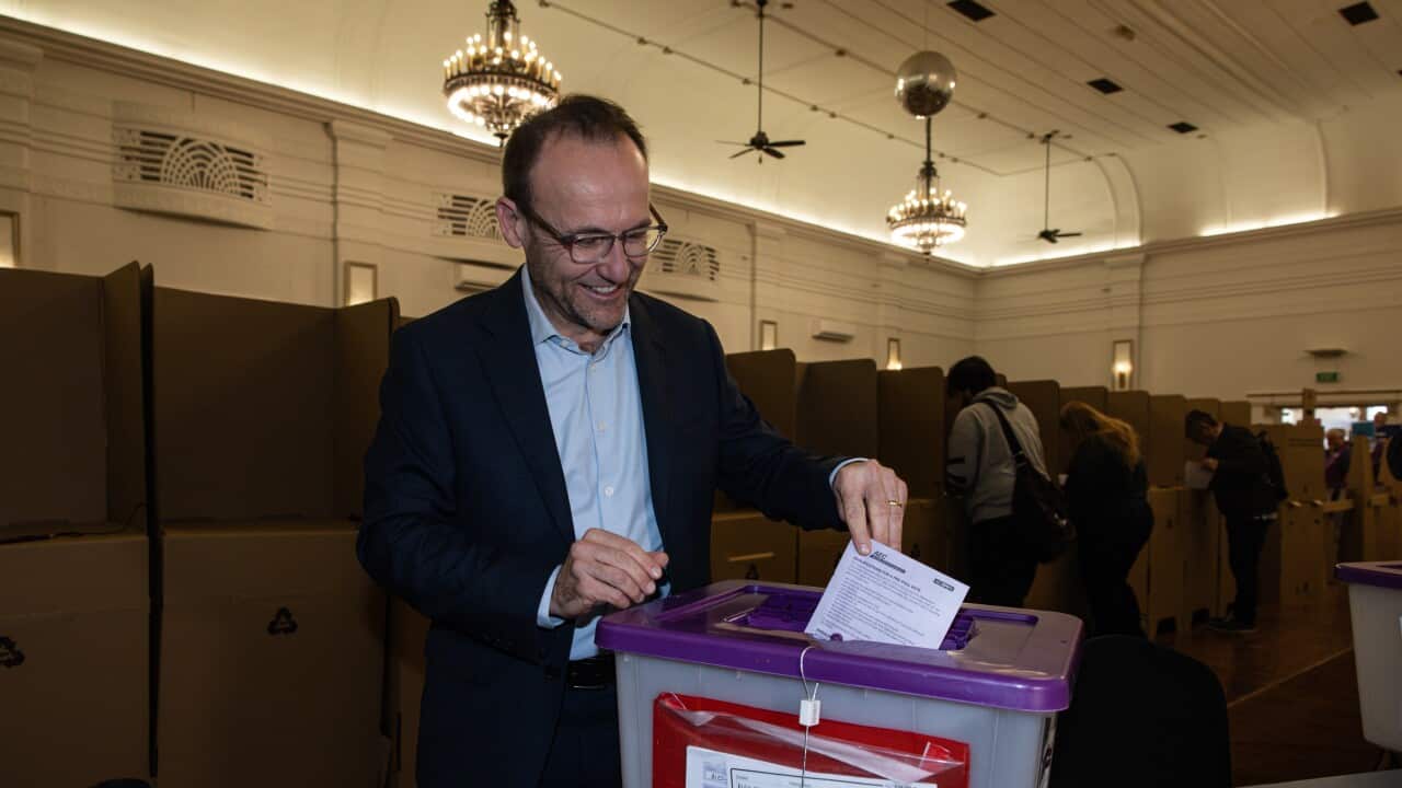 ELECTION25 GREENS ADAM BANDT VOTE