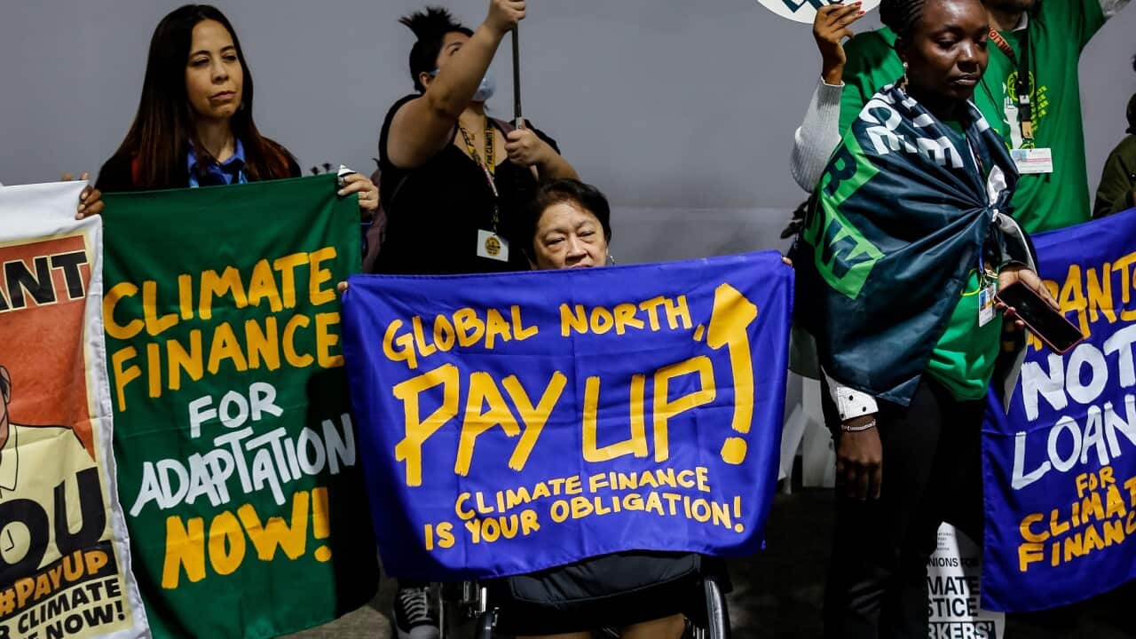 UN Climate Conference COP29 in Baku - Day 5 - 15 Nov 2024