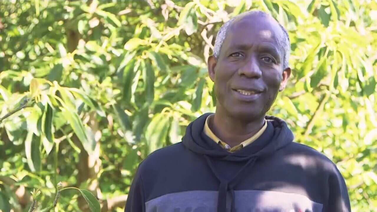 Miransi Nzyemana