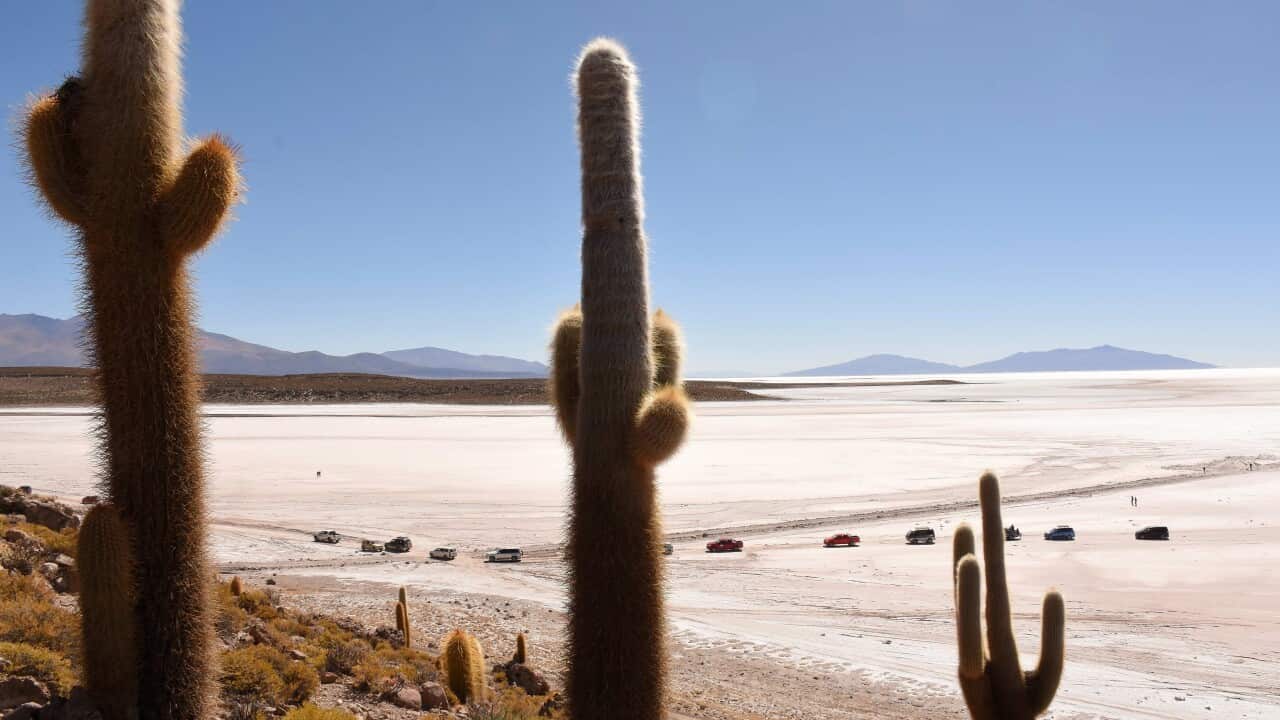 Image for read more article ''