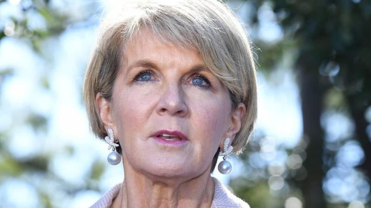 Foreign Minister Julie Bishop has put her hand up to run as leader if the party goes to a spill motion.