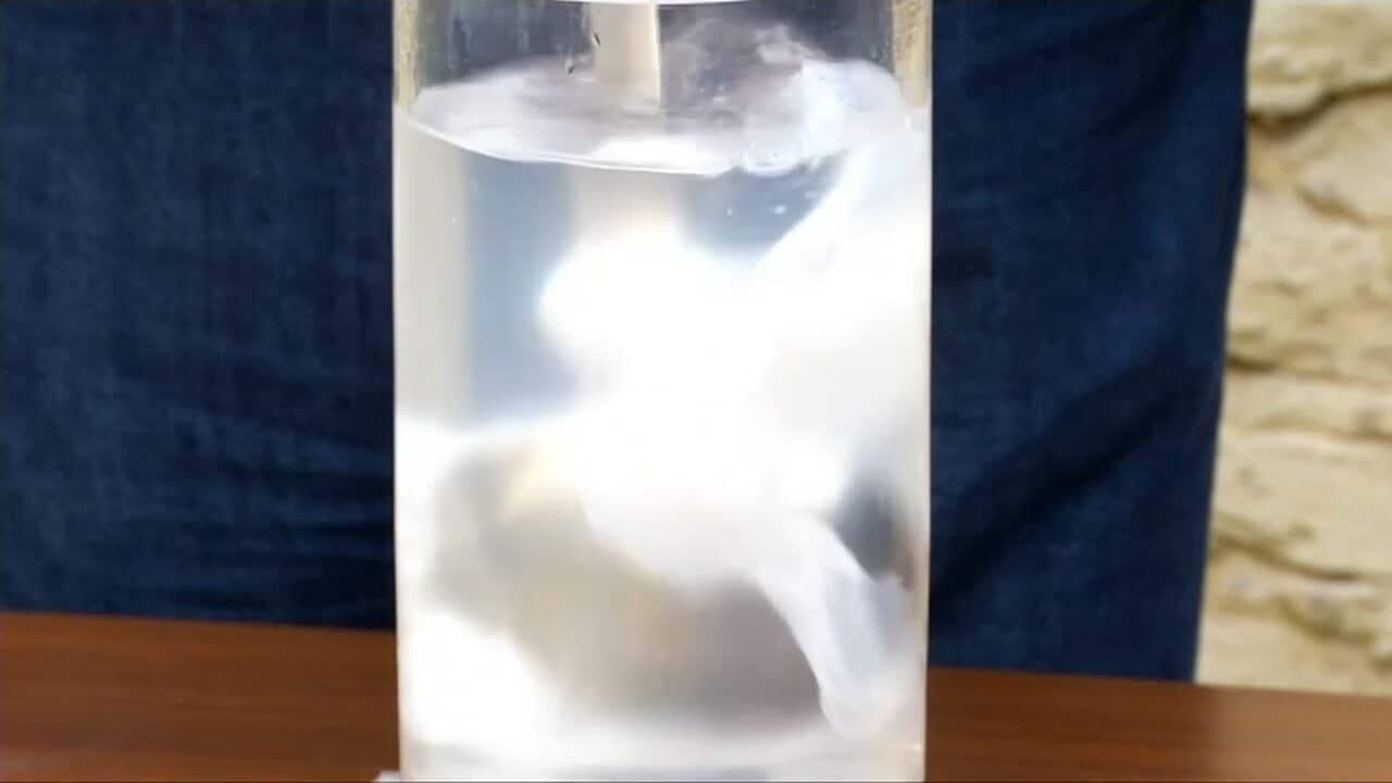 Image for read more article ''