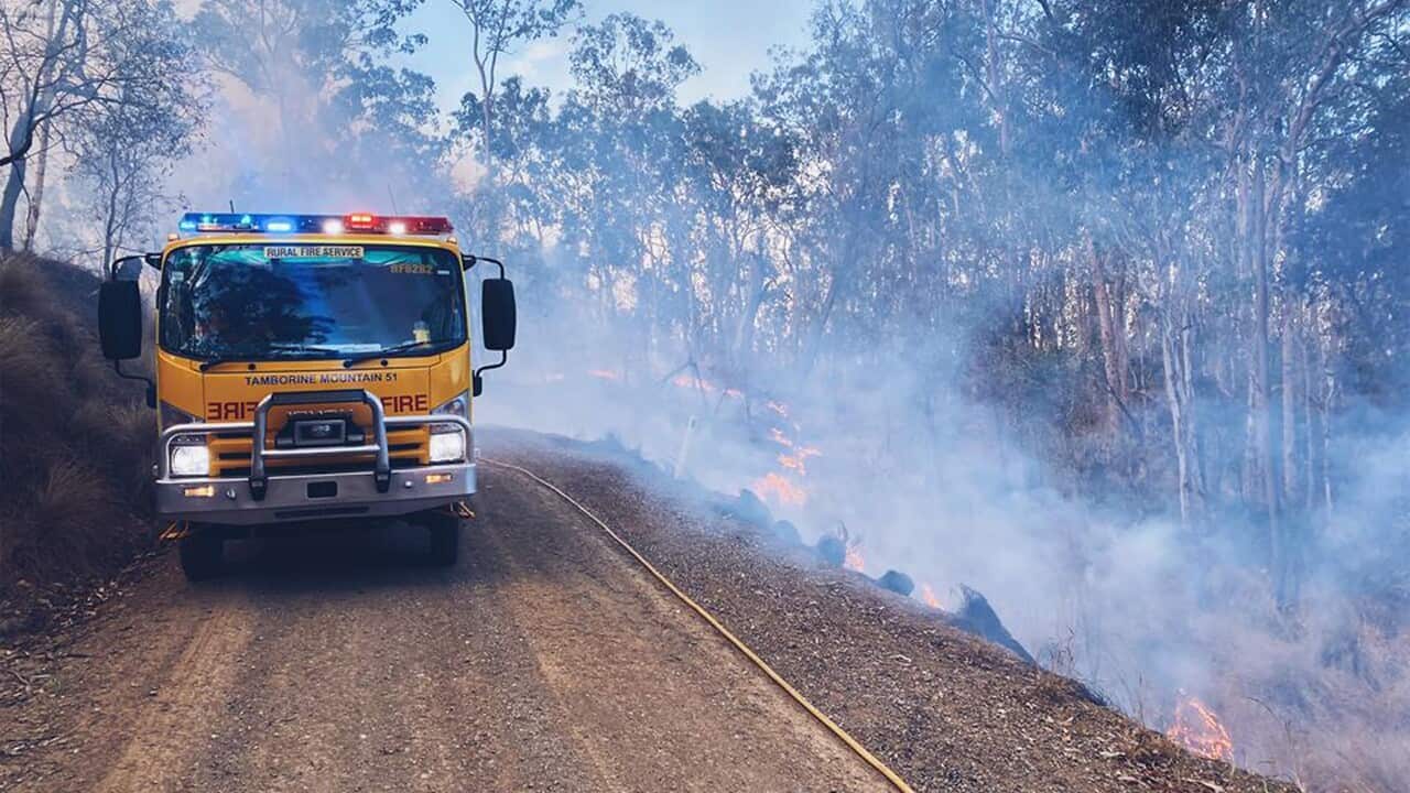 BUSHFIRES QLD