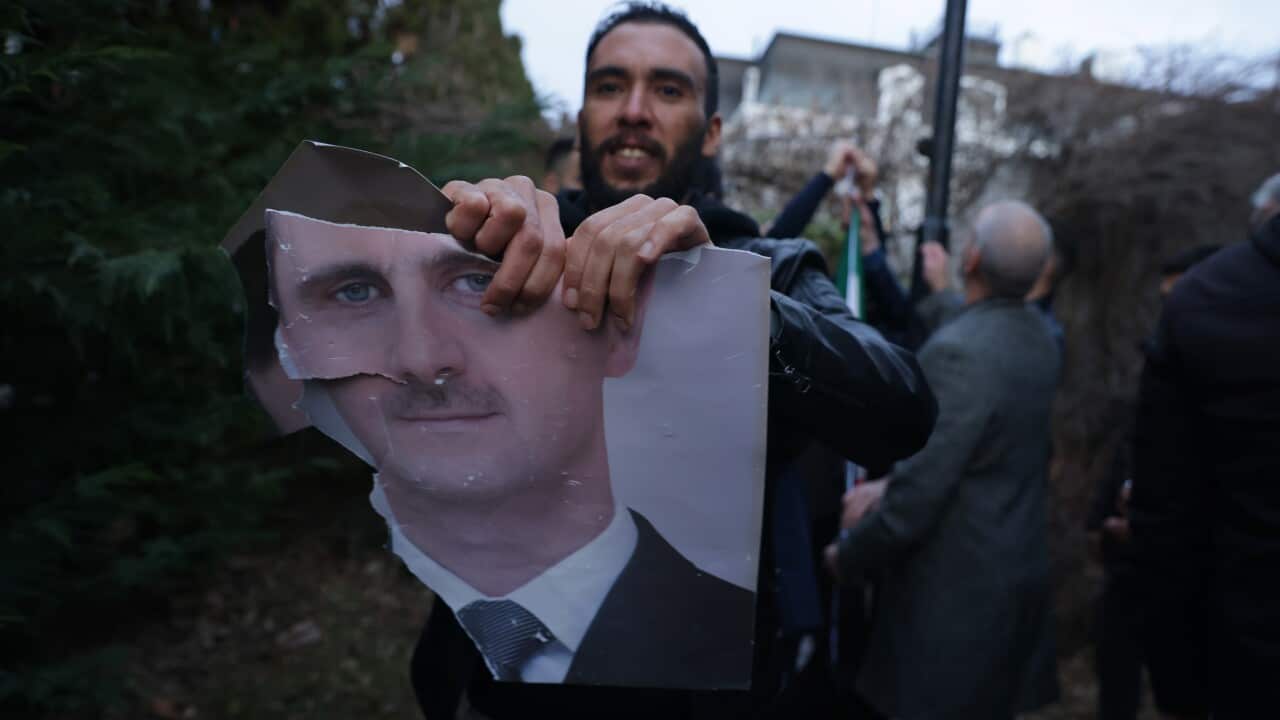 Syrians in Belgrade celebrate rebel takeover of Syria and the overthrow of al-Assad