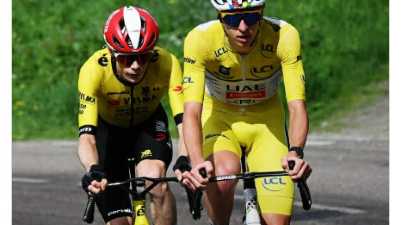 Tadej fav for TDF 25 SBS.jpg