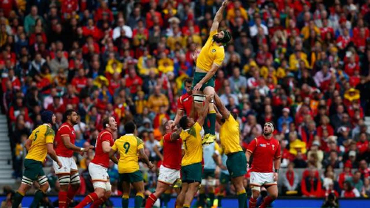 Wallabies v Wales