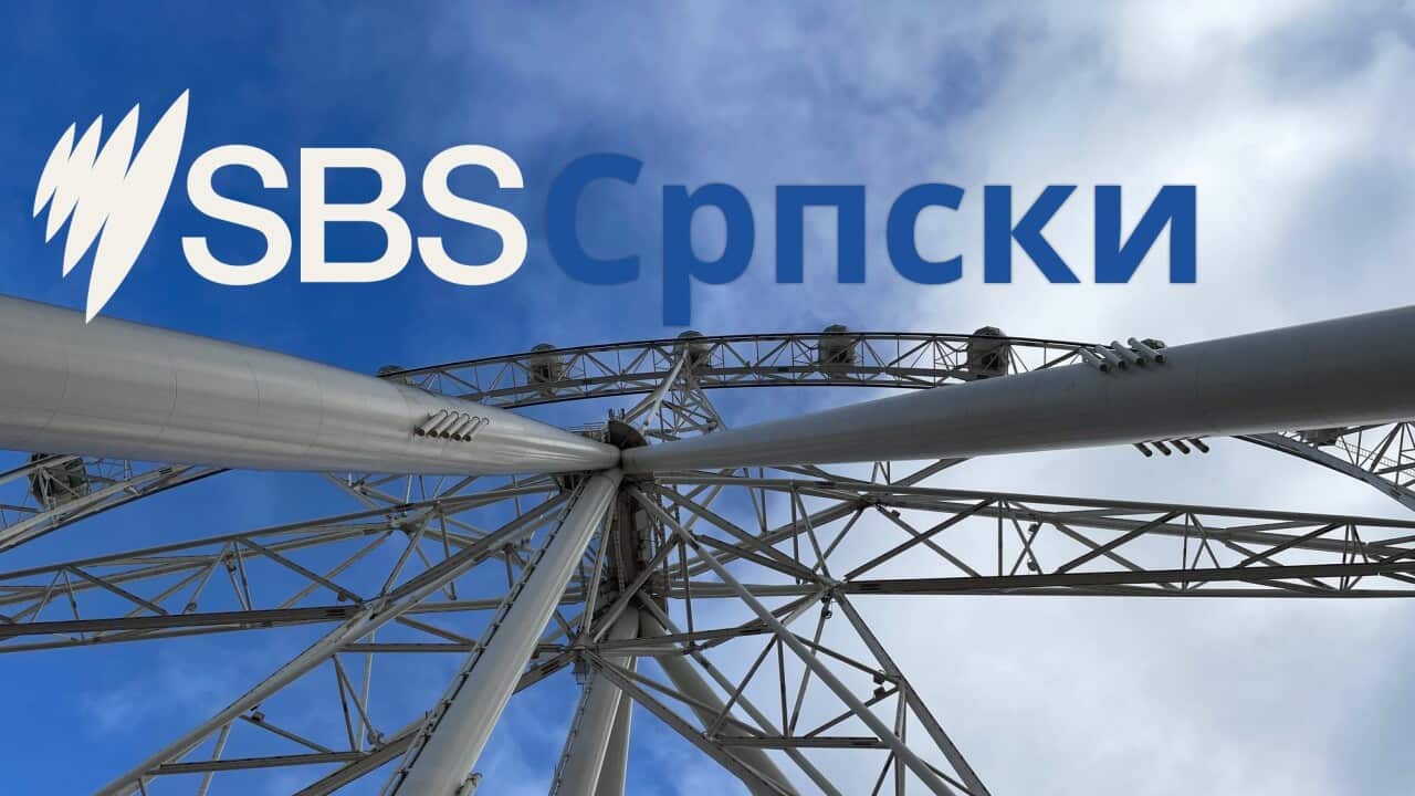 SBS Serbian News 2.jpg