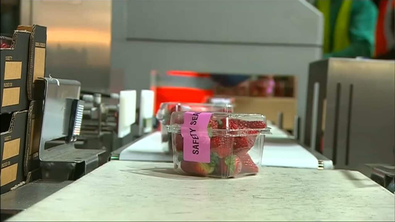 Image for read more article 'READ MORE'