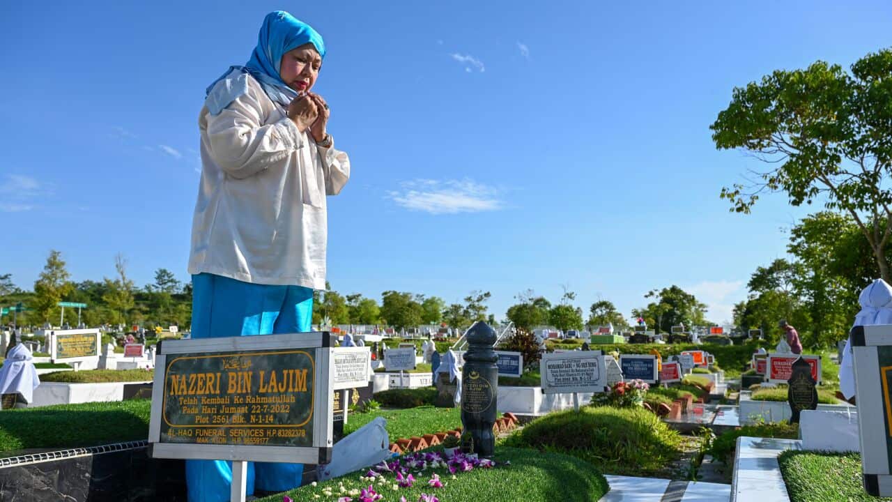 Image for read more article 'READ MORE'