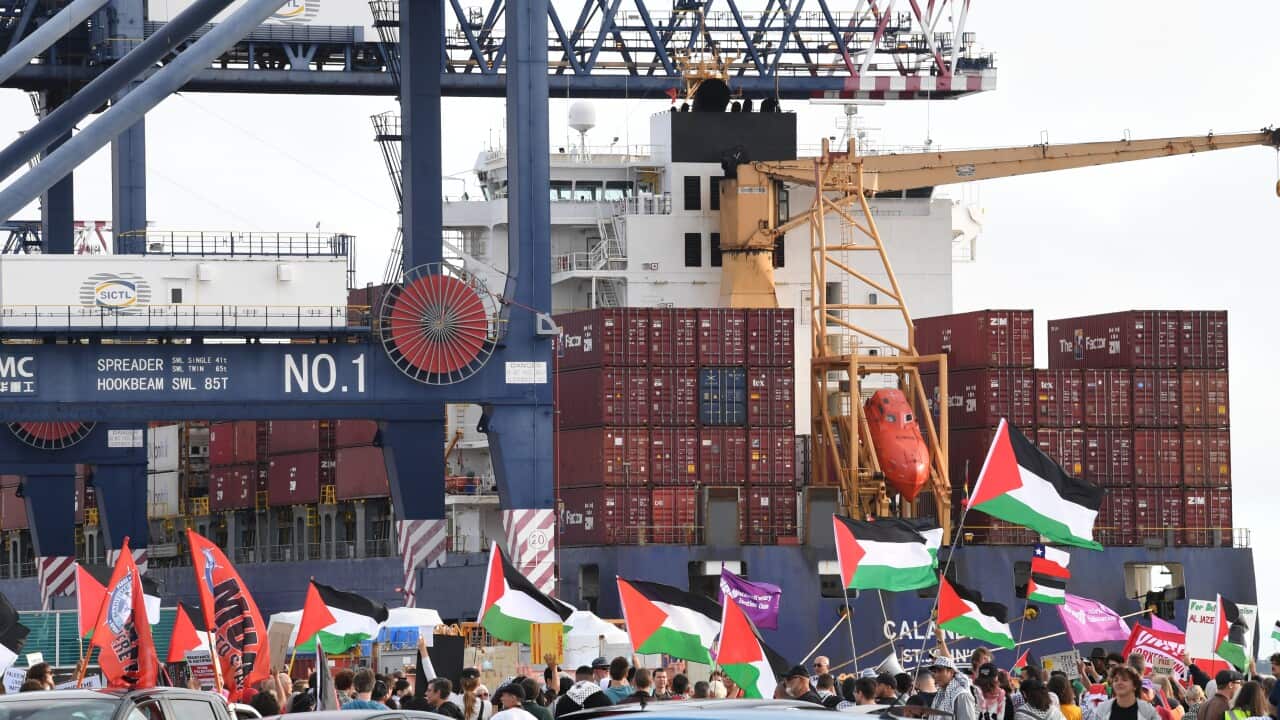 A group of people waving Palestinian flags in front of a container vessel at Port Botany