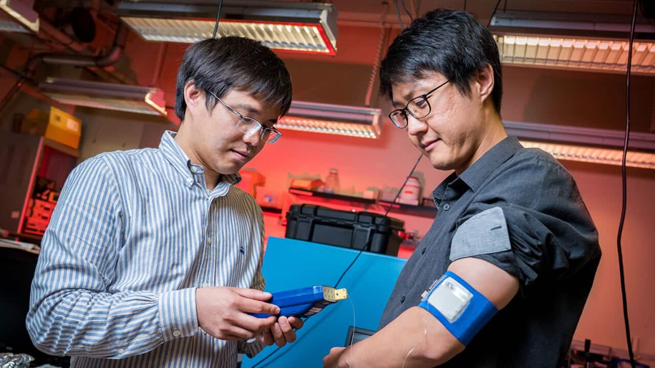 Image for read more article ''