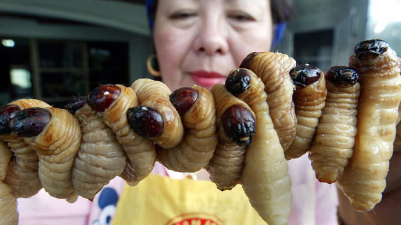 food_insects_130514_getty_778147745