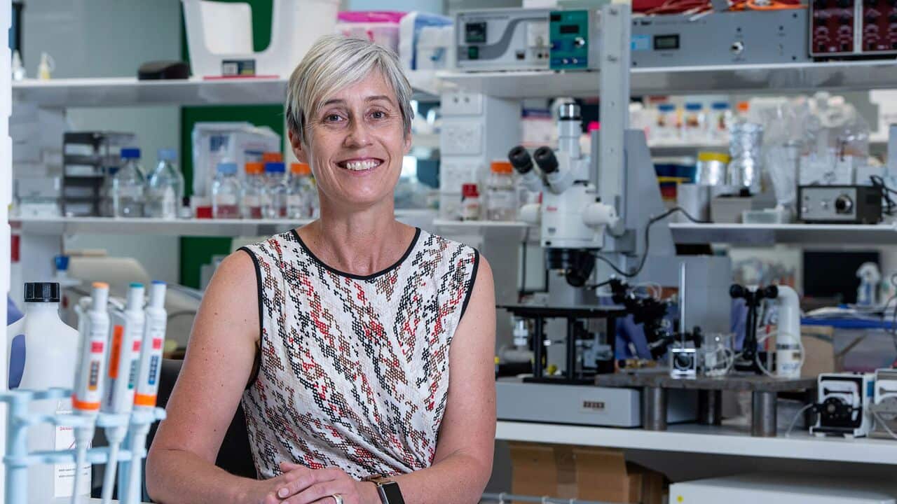 Image for read more article '更多內容'