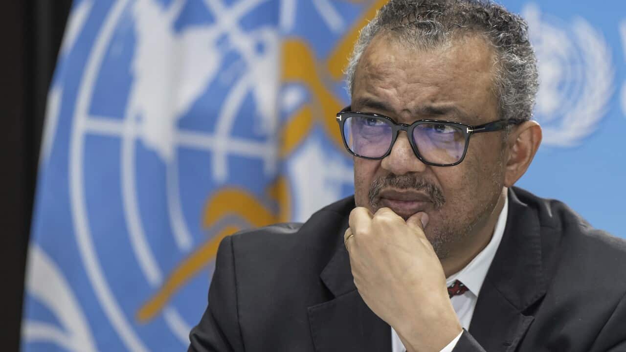 UN World Health Assembly