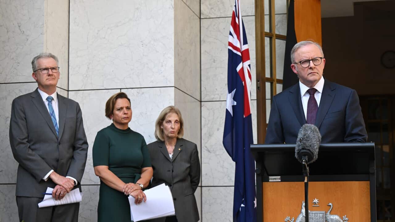 ALBANESE ROYAL COMMISSION ANNOUNCEMENT