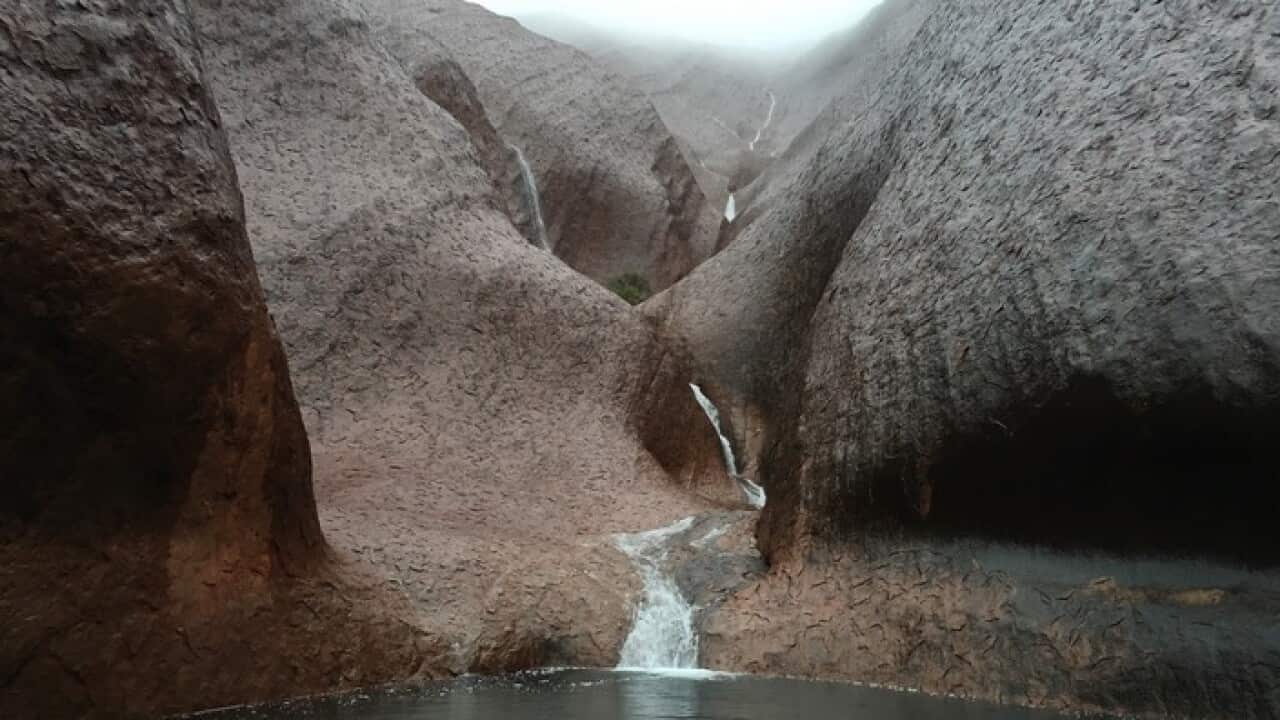 Image for read more article 'READ MORE'