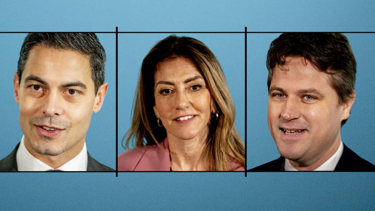 coalitie d66 cda vvd