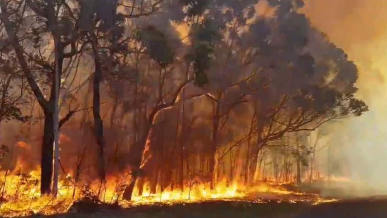 Nowra Bushfire
