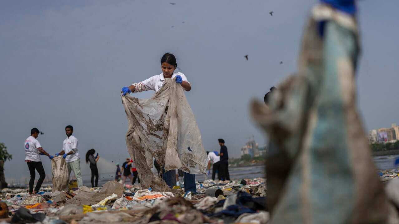 A group of people cleaning up plastic waste on a shore