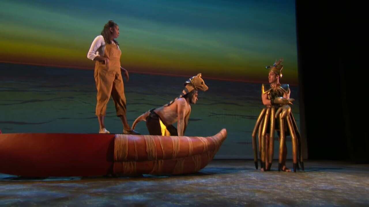 A trans-Tasman performance called Hide The Dog that explores First Nations culture and language of Tasmania and New Zealand. (SBS).jpg