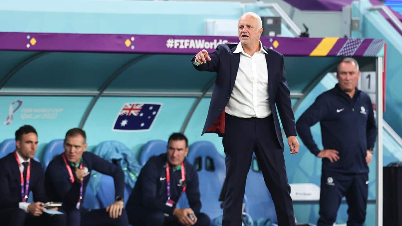 Socceroos manager Graham Arnold during the FIFA World Cup match against France