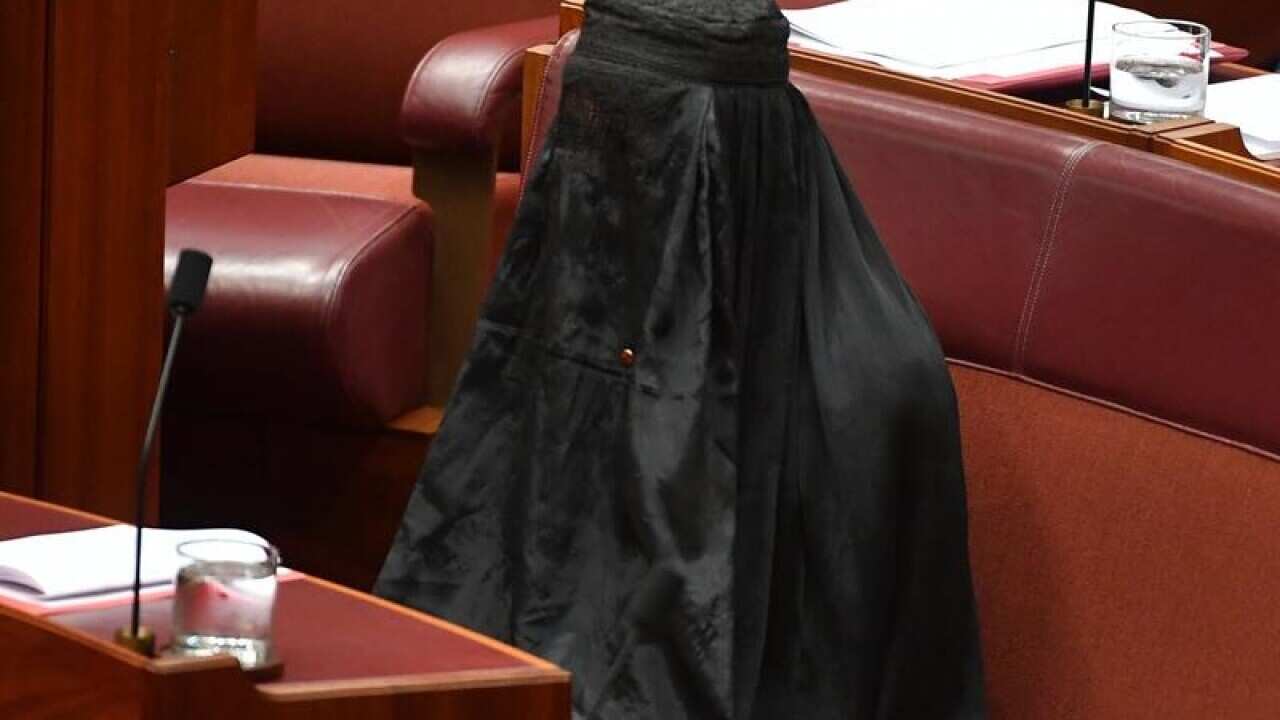 One Nation leader Pauline Hanson