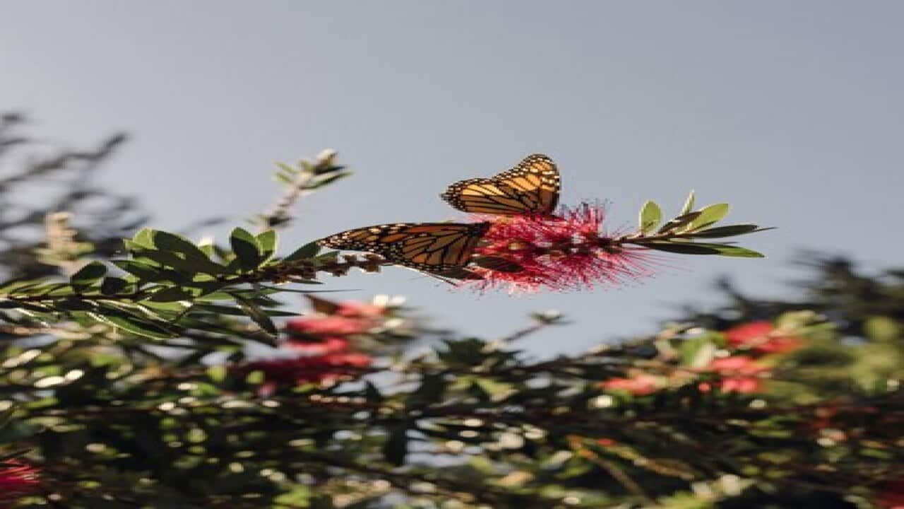 Image for read more article 'ΔΕΙΤΕ ΑΚΟΜΗ'