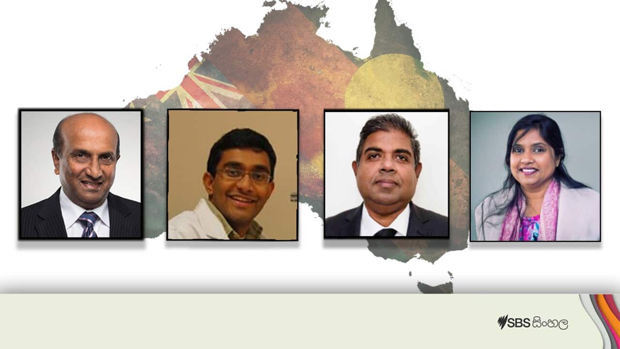 VINIVIDA April 2023.jpg