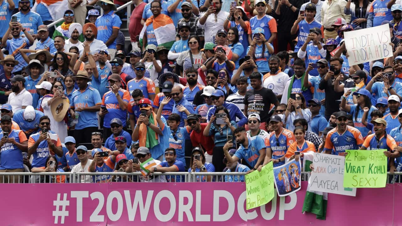 T20 Cricket WCup USA India