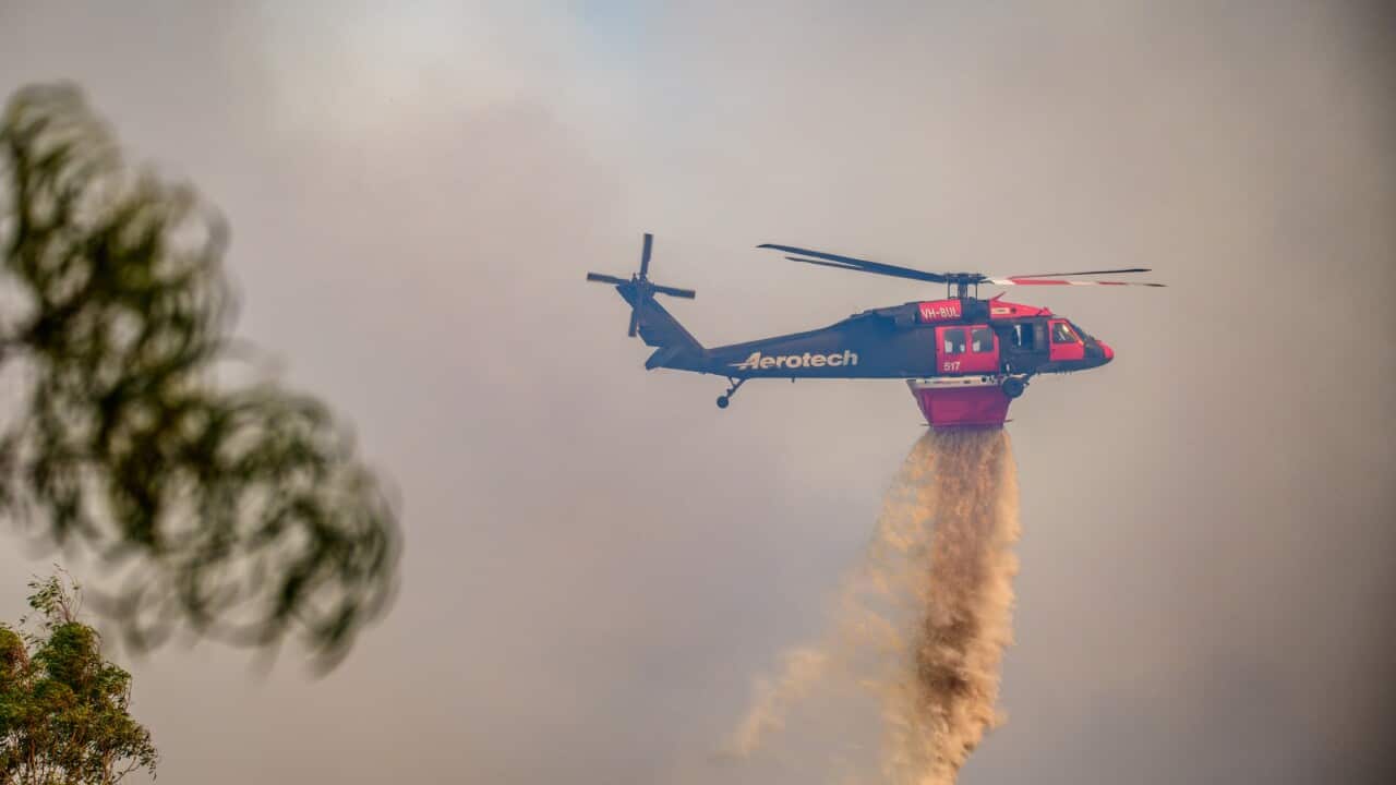 Queimadas em Victória